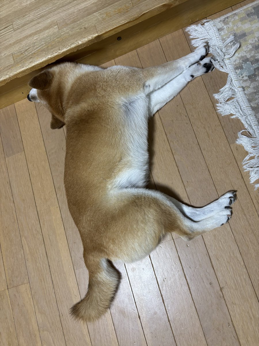 Ktone666's tweet photo. 首ｨｨ https://t.co/WnAIqpvHWL