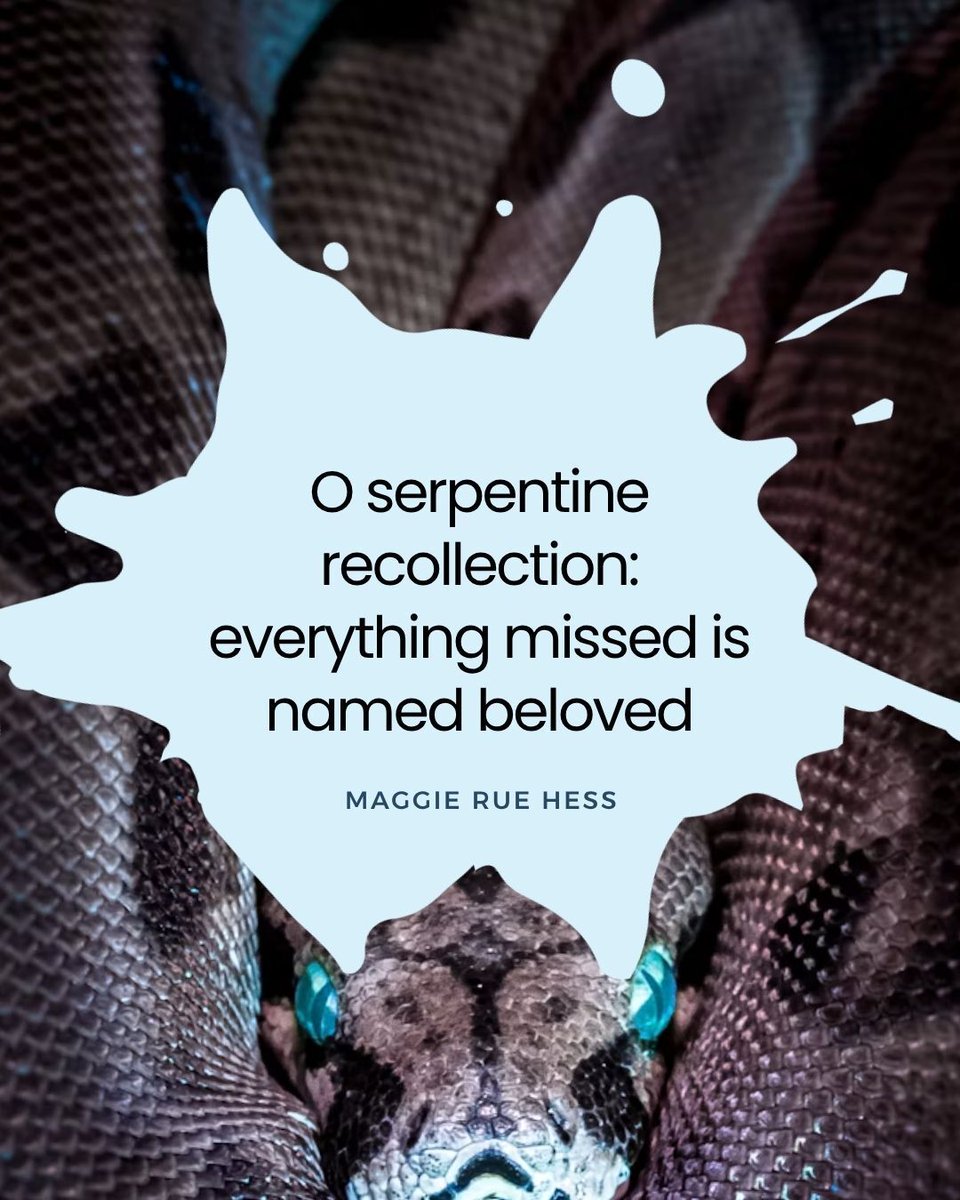 SWWIMmiami's tweet photo. From “American Snake Sonnet” by Maggie Rue Hess
.
.
.
#SWWIMEveryDay #SWWIMWithUs #Poetry #Poem #WomenPoets #WomenPublishingWomen #WomenSupportingWomen #Ciswomen #TransWomen #Nonbinary #Intersex #GenderExpansive #Inclusive #AmericanSnakeSonnet #MaggieRueHess #WednesdayPoem https://t.co/QMBpOJIWip