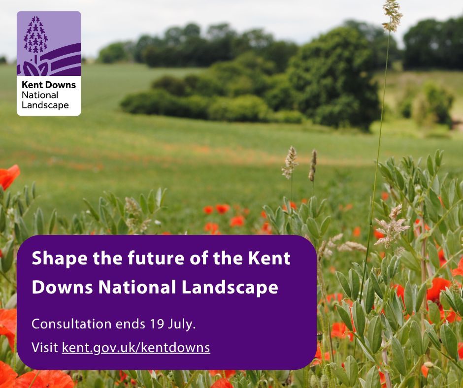 Kent Downs National Landscape
Field with poppies, trees, bushes and grass
Shape the future of the Kent Downs National Landscape
Consultation ends 19 July
Visit kent.gov.uk/kentdowns