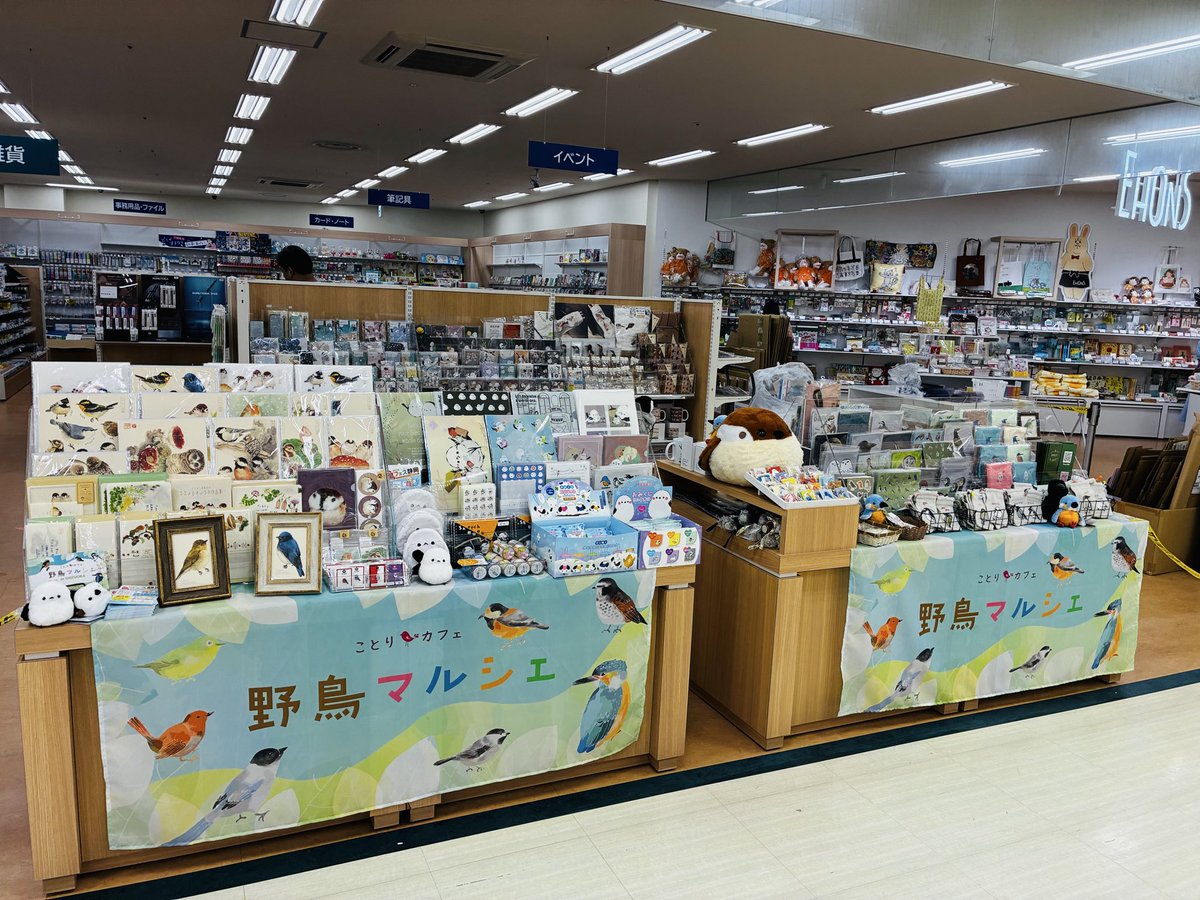 kotoricafe2014's tweet photo. #野鳥マルシェ静岡
MARUZEN &amp; ジュンク堂書店 新静岡店
新静岡セノバ5階
2026年6月25日〜
10時〜21時

静岡に野鳥グッズが大集合🕊️

#野鳥 #野鳥マルシェ #セノバ #新静岡駅
#ことりカフェ https://t.co/GjufpUv5Qk
