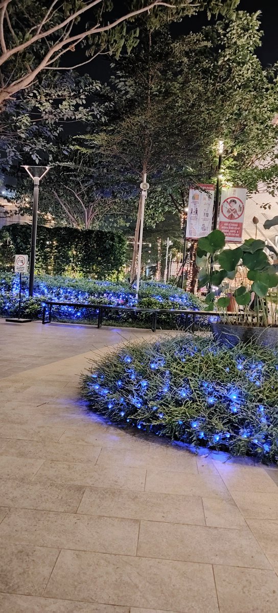 ffqqkyu's tweet photo. @DukuhAtasBSI kalo malem juga jadi taman, cocok buat bengong di pim jakbar https://t.co/2wtBm8QDJ7