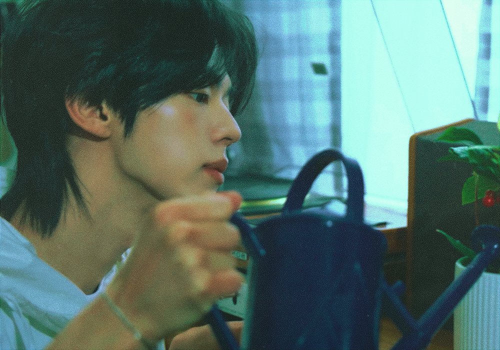 ottozcokr's tweet photo. SODA SODA (2026) https://t.co/oYJ7NXcDmB