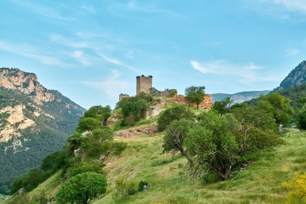 HoraJaen's tweet photo. #Jaén | El Ayuntamiento culmina la recuperación del camino de Otíñar y garantiza el tránsito en todo su recorrido 

https://t.co/Dsx6lIcMjg https://t.co/hhAqfjiK0O