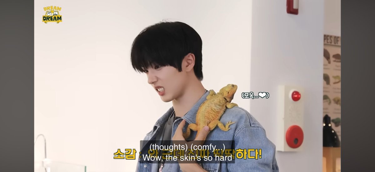802hyuck's tweet photo. 😭 so cute https://t.co/DZudJjCxnh