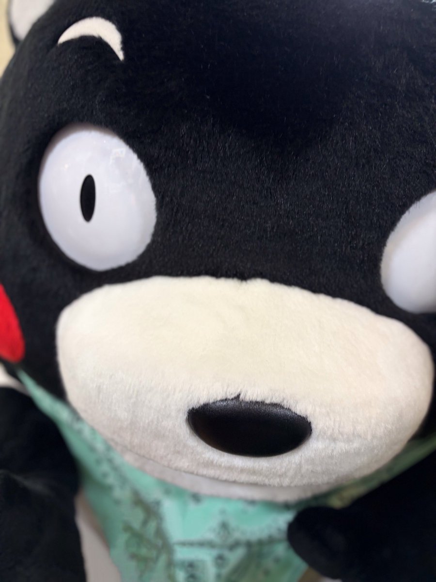01_korin's tweet photo. さて、もうひと仕事するかモン😑

大雨が降ってる地域の皆さん、ご安全に…大きな被害が出ませんように🙏

おやくまなさい🌙 https://t.co/CnZO6JFl9U