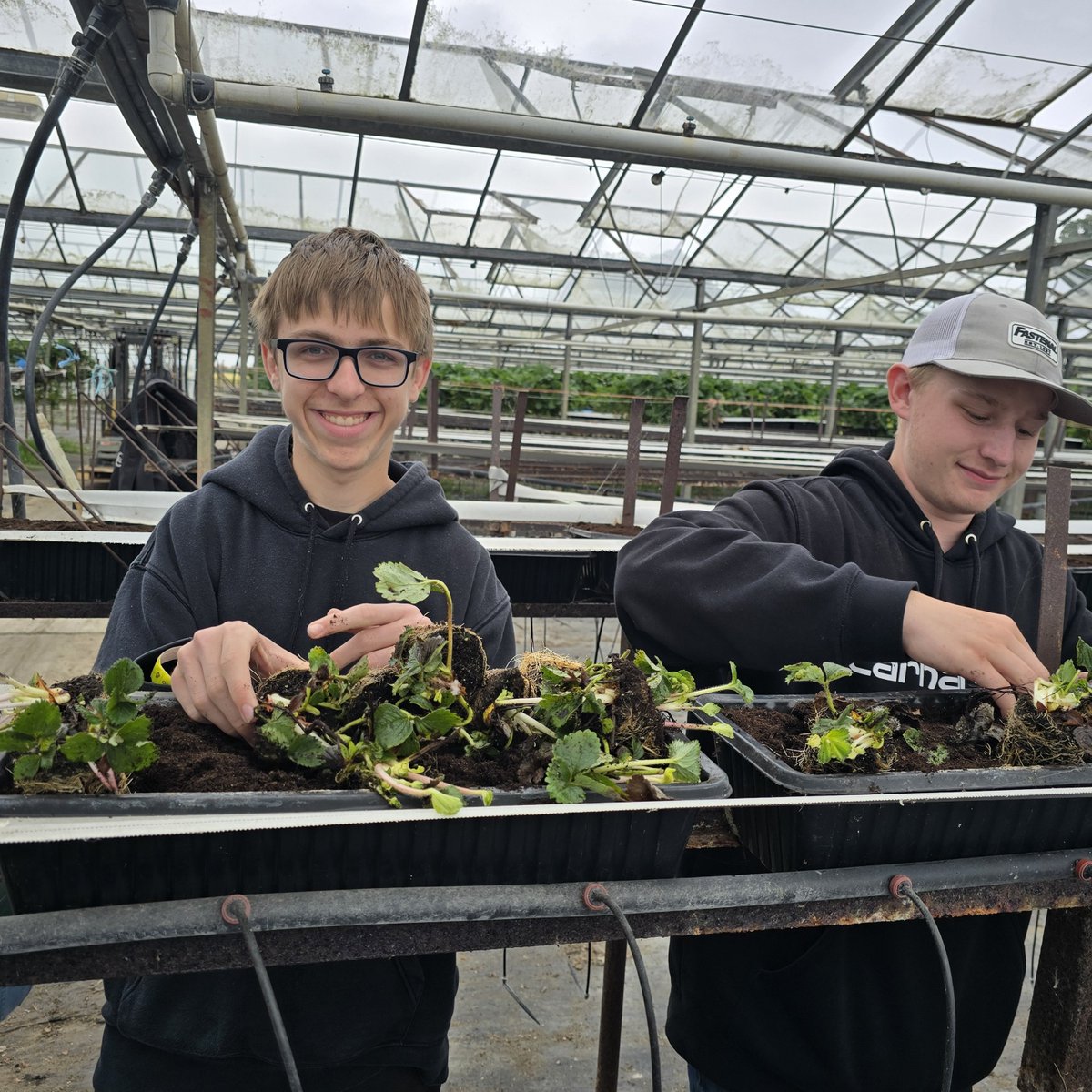 WMPublicSchools's tweet photo. WM FFA in Ireland!🤩
Check out some great pictures from FFA Advisor, Nathan Anderson, and his students as they experience Ireland through an FFA lens!
✨What a great experience for these Royal FFA students!
#WMFFA #WMOpportunities https://t.co/pSru7FC1KD