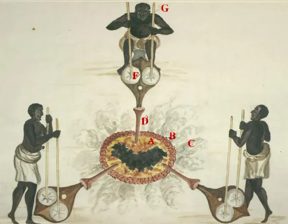 rhaplord's tweet photo. Iron smelting in pre-colonial Africa
https://t.co/qQXaLAl9QW https://t.co/HrJFgtcAgO