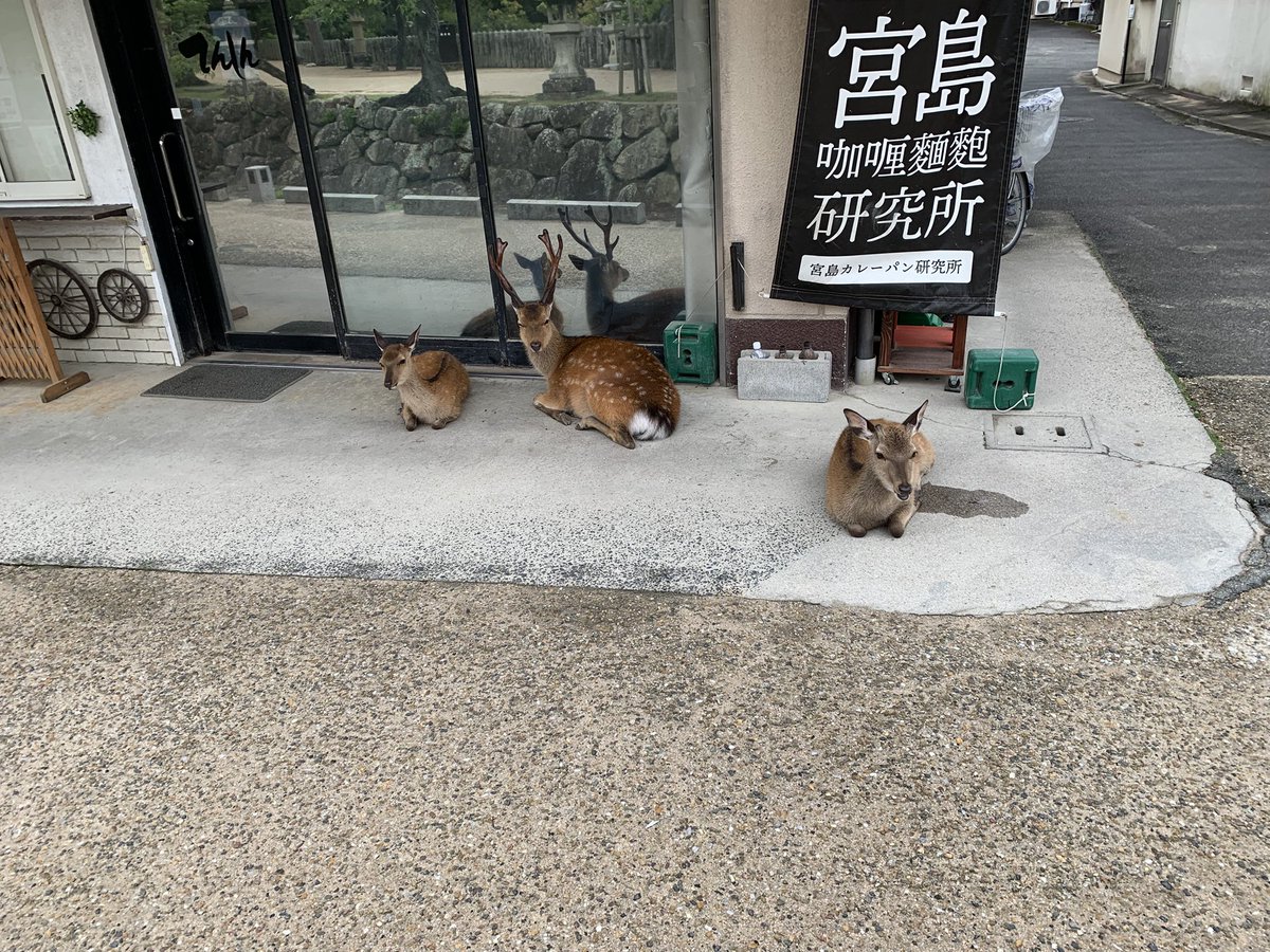 GODKORIN2's tweet photo. ほろ酔いでコンビニ行ったら急激に孤独感に襲われてホームシックになった🤣
酔うとだめだな😭早く帰って猫達で癒されないと😇

明日は行ったら人生が変わる第二弾の出雲大社に参拝して帰宅予定 https://t.co/5UliAKL2ek