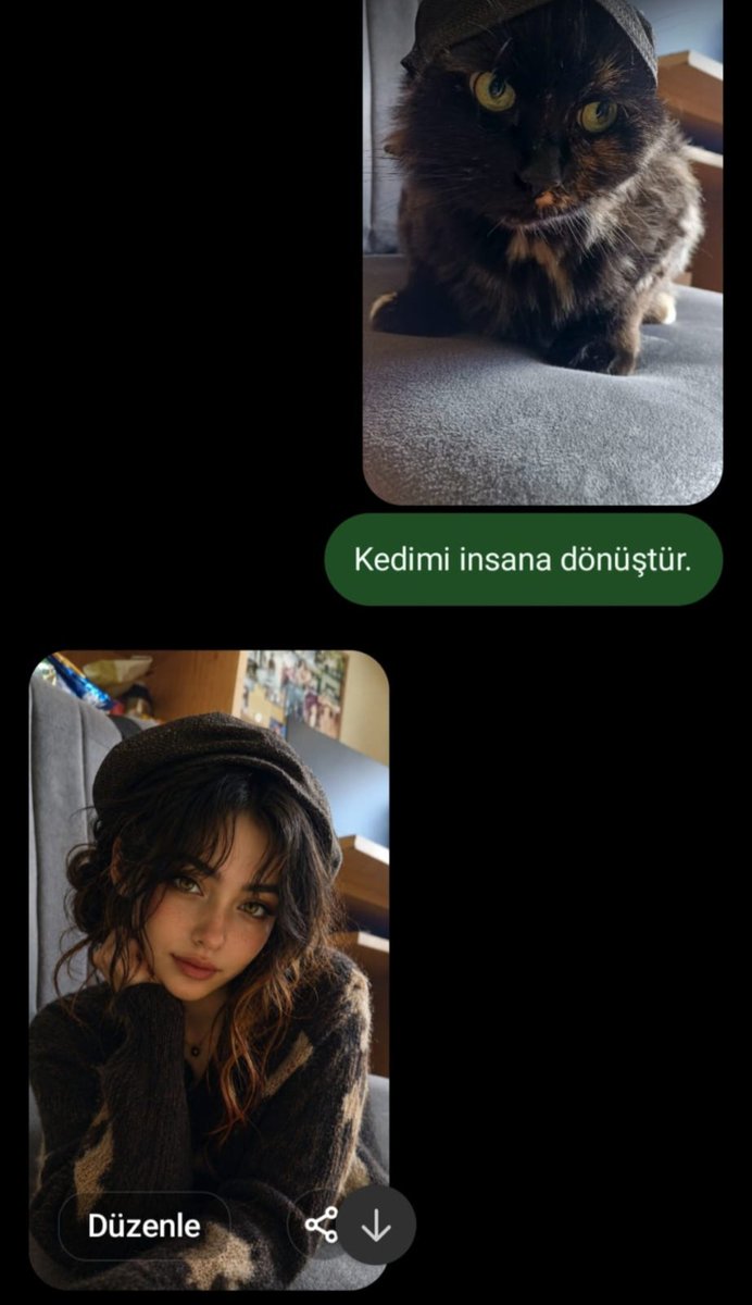cerenary's tweet photo. Hanımın tatlı uğraşları https://t.co/6xBoYDS3kU