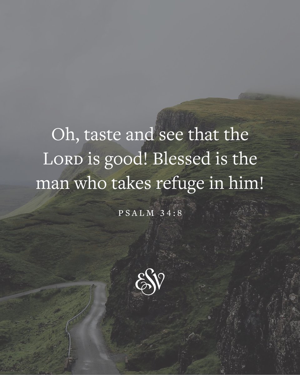 crossway's tweet photo. Psalm 34:8 (ESV)

How have you tasted the Lord's goodness?

#ESV #Bible #VerseoftheDay #Psalms https://t.co/IeKLKqfrtv