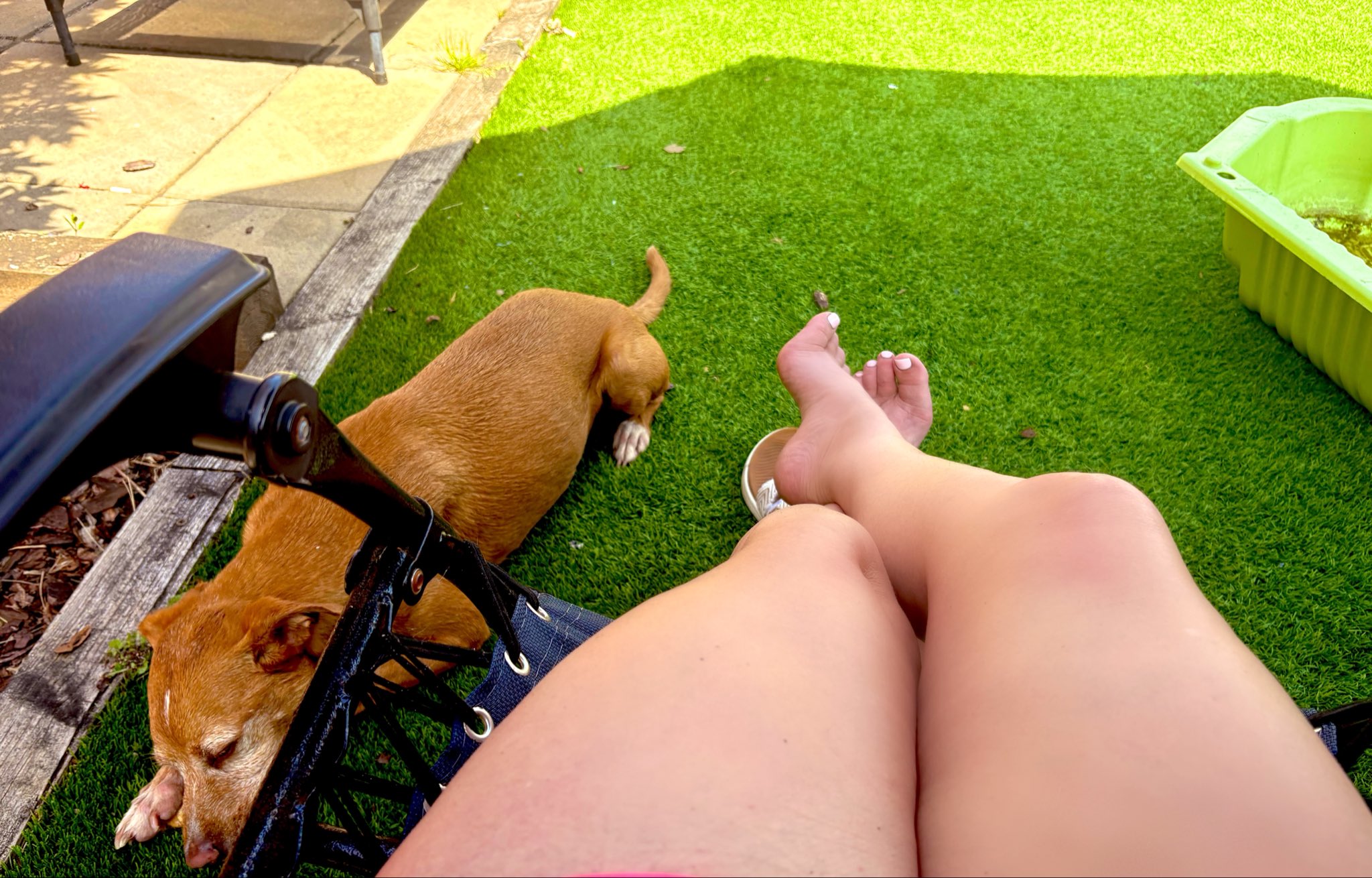 Too hot for a walk ….. so we played with the hose in the paddling pool ….. now he is having his favourite chew. Some pets get all the luck 🐕🌞💦💦💦🦴 https://t.co/7hZi1jtArw