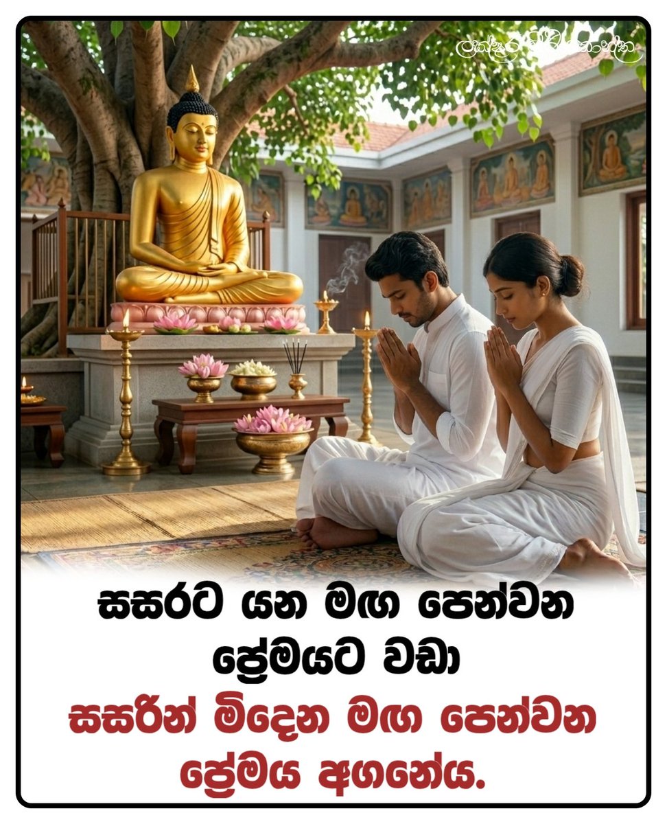 Laksara_SC's tweet photo. විවාහ ජීවිතය ගතකරන්නේ නම් සසරට මඟ පෙන්වන ප්රේමයට වඩා සසරින් මිදෙන මඟ පෙන්වන ප්රේමය අඟනේය.
✍️ Lakshara Siriyakantha
#dhammapost #pathtonirvana #waytonibbana #ධර්මය #නිර්වාණවබෝධය https://t.co/2ysdCW0lU9