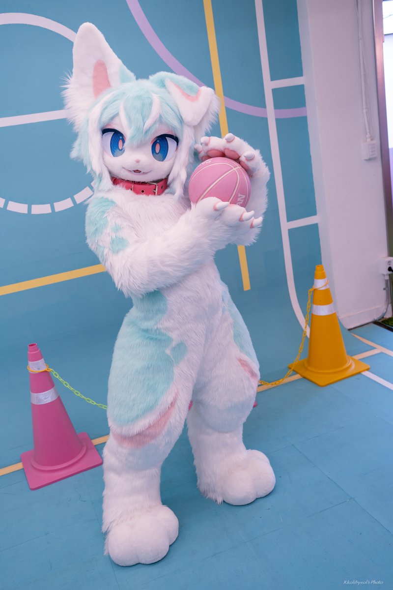 ROMOON_fursuit's tweet photo. 🏀💞

#ROWOON_mintmoon #LikeaPalette #FursuitFriday
📷#Kkolibyeol https://t.co/limeyMbUX9
