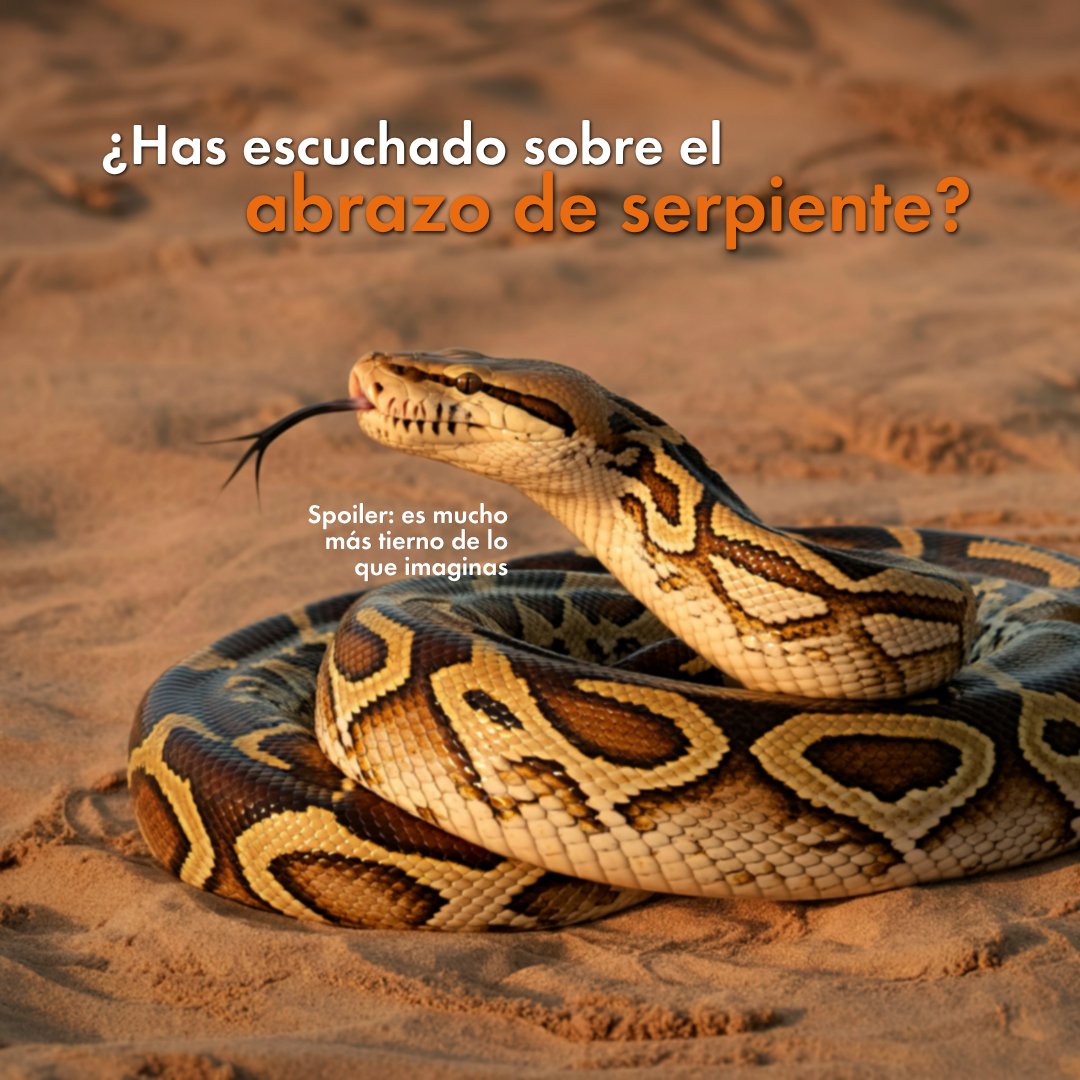 Protección Animal Mundial tweet media