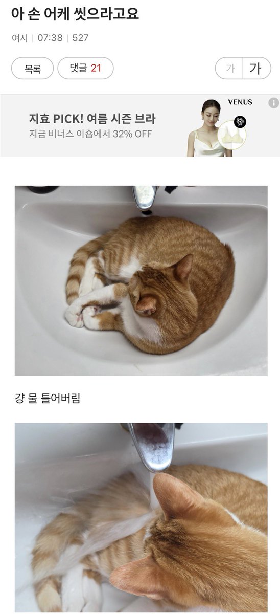 지금 여성시대는… tweet media