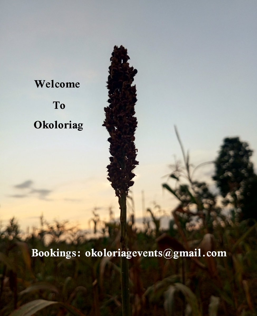 OkoboiPius's tweet photo. Our Open Space Is Your Comfort. #People https://t.co/V03EaLyi3A