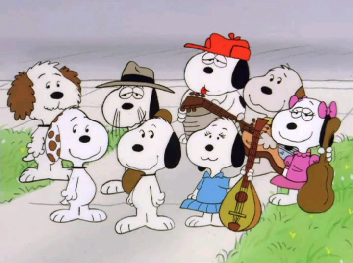freemontra's tweet photo. @John42OToker He's got a few!

Spike, Belle, Marbles, Olaf, Andy, Molly and Rover. https://t.co/cp6AOuCIUG