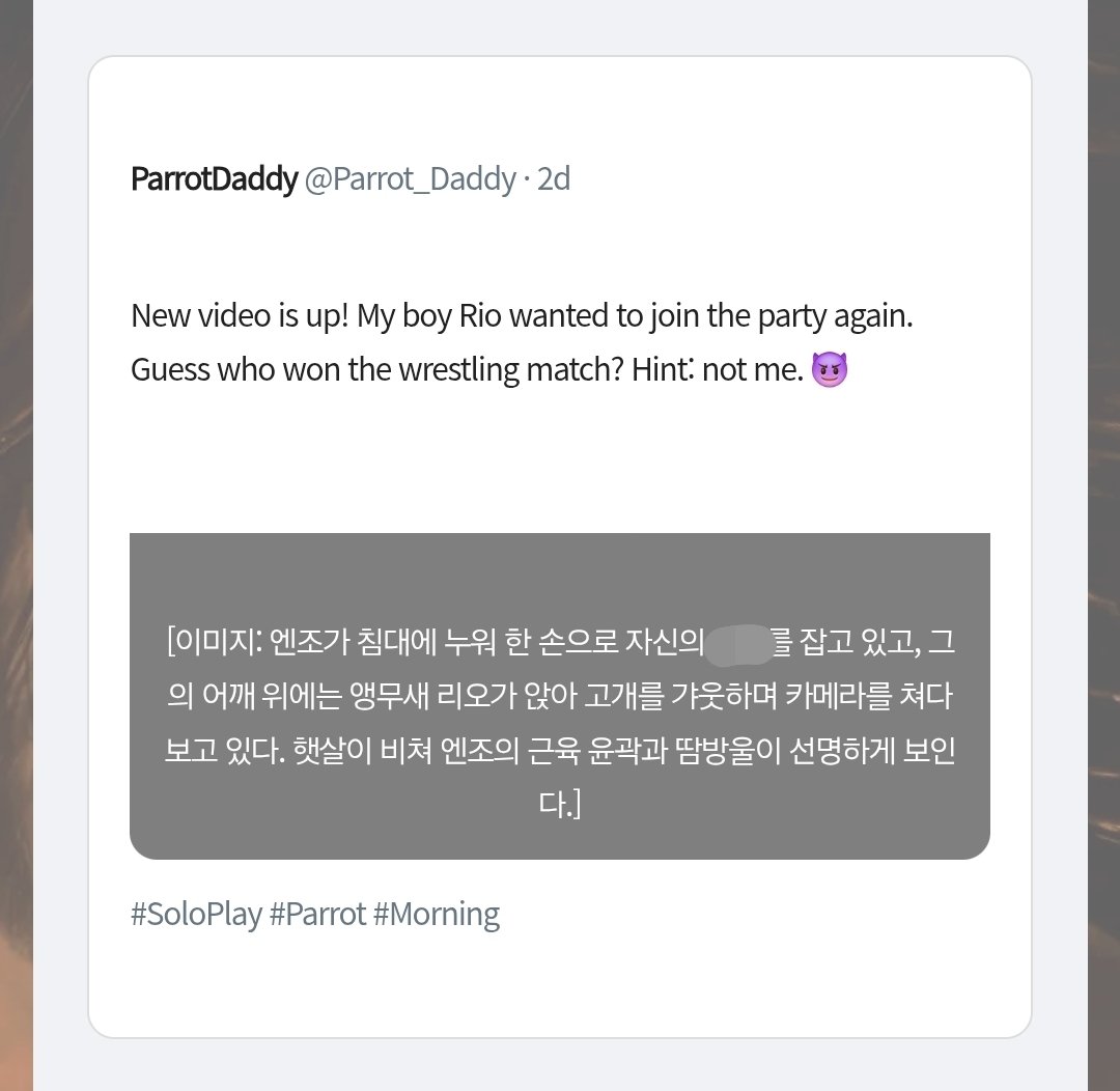 gom_clouds's tweet photo. !온리팬즈 입력 시 엔조의 게시물이 출력 됩니다 https://t.co/rONbhCXN1G
