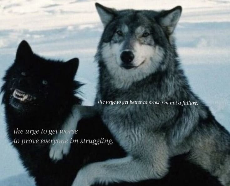 DoggyPosting's tweet photo. https://t.co/1AizFMR87S