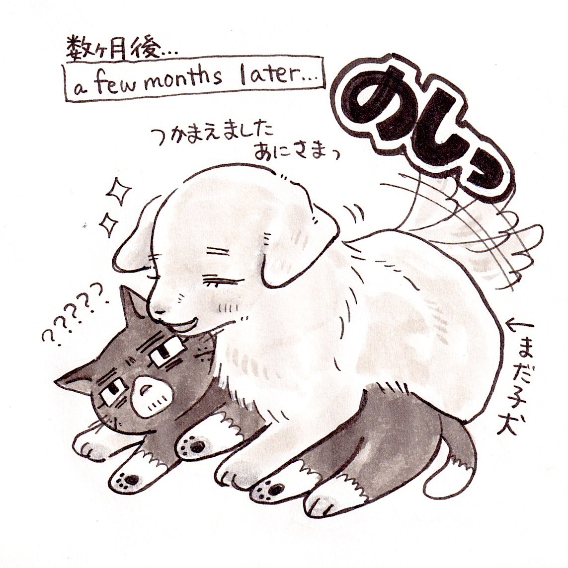 kabos1719's tweet photo. ねこの兄様とｺ゛ｰﾙﾃ゛ﾝﾚﾄﾘﾊ゛ｰのゆうさくさん
⚠️動物化 https://t.co/OuVJwEKKoV