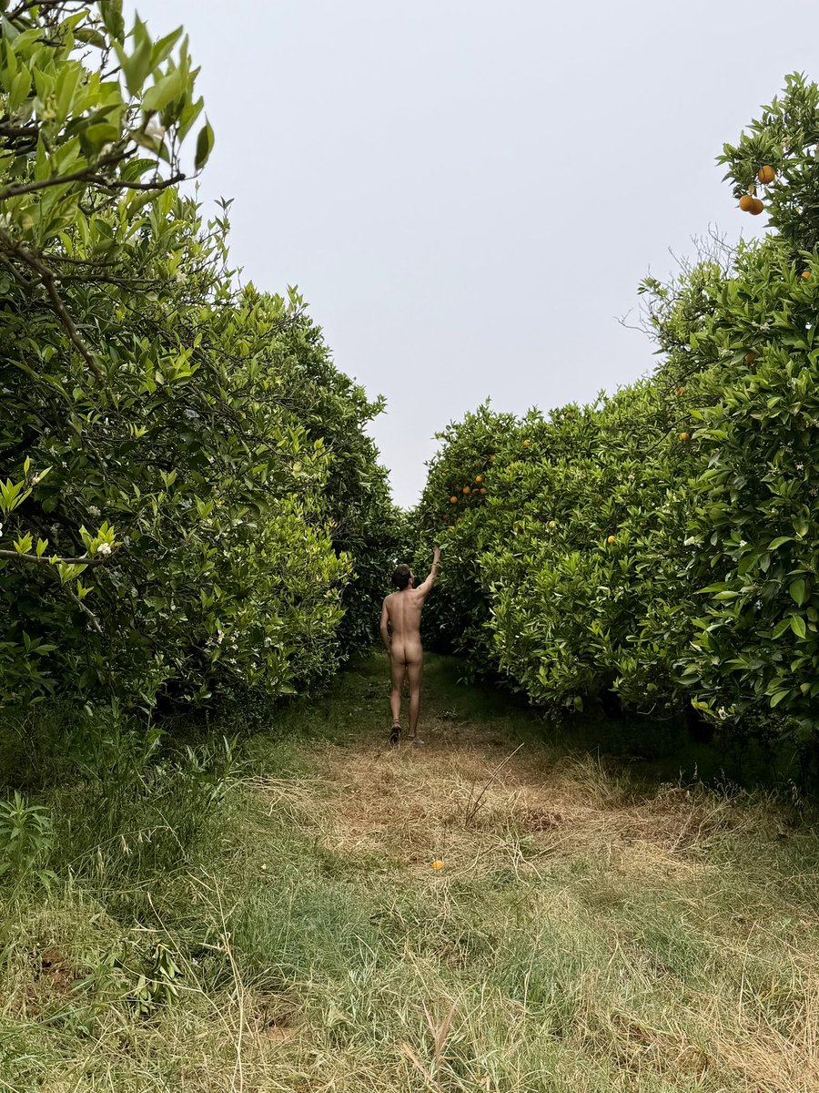 JustAards's tweet photo. Came for the oranges. Stayed for the scenery https://t.co/uq5xyweRnB