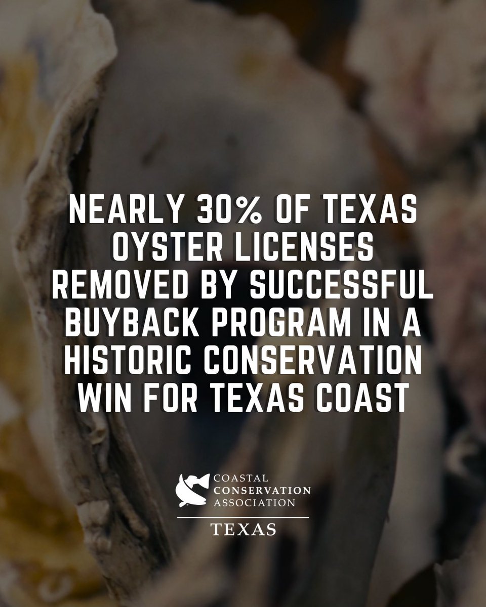 CCA_Texas's tweet photo. After two productive rounds, the successful Oyster Buyback Program has reduced pressure on our public reef systems by removing nearly 30 percent of all commercial oyster licenses from the fishery. Learn more by clicking here 🔗➡ https://t.co/hCMITBfsya

#JoinCCA #CCATexas https://t.co/kZOJgLzzDo