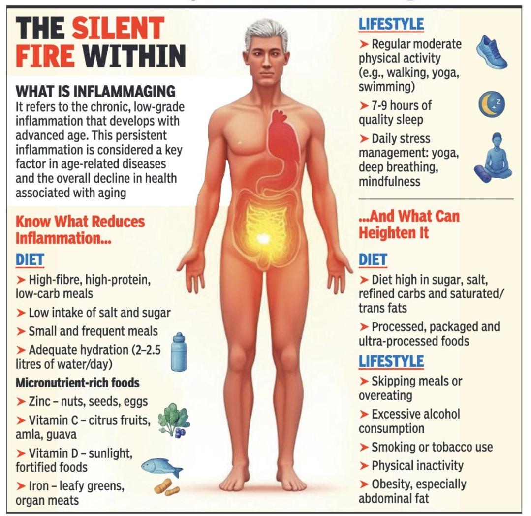 JhunuDr's tweet photo. The Silent Fire Within 🔥 #Inflammaging https://t.co/AS8TyLXf8L