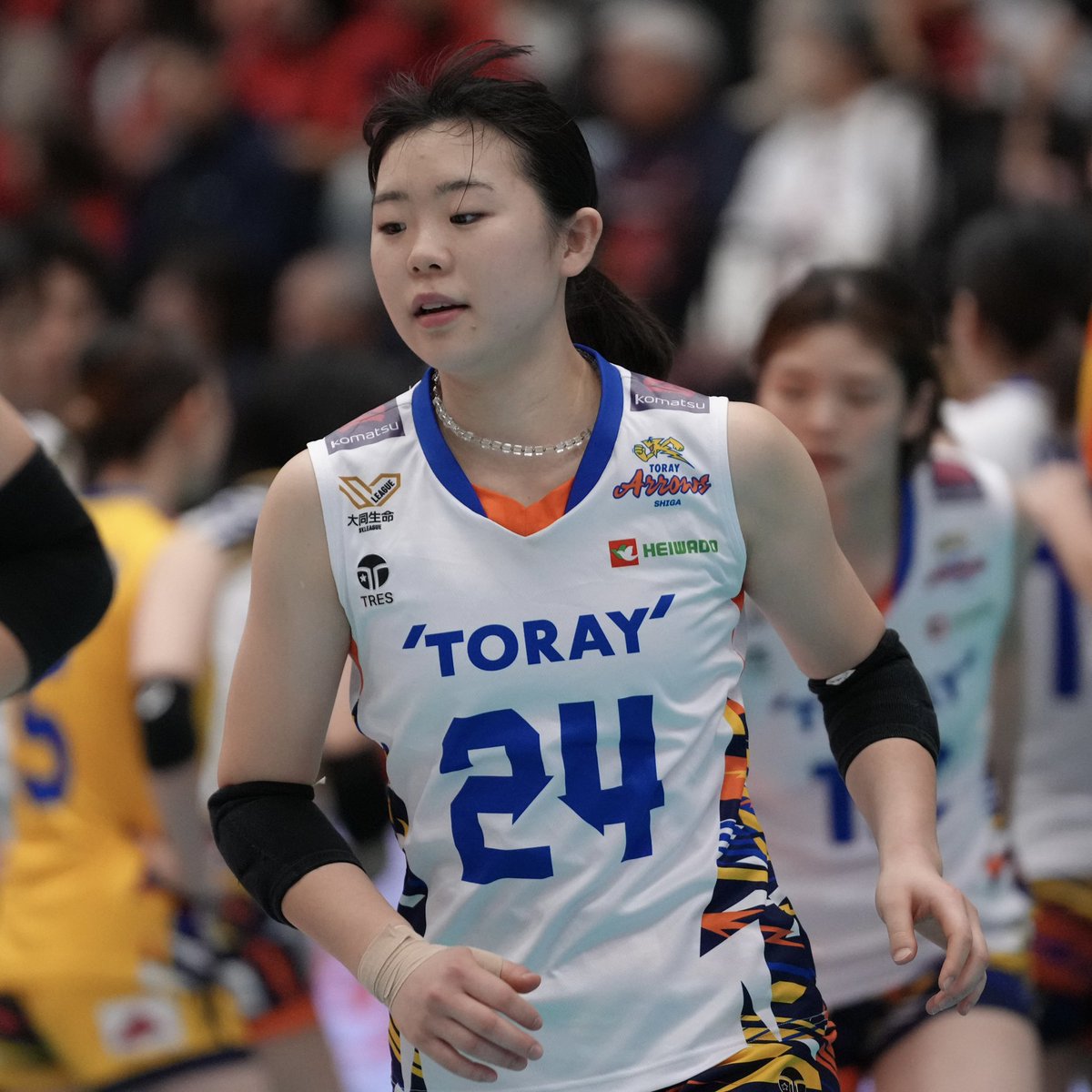 shin_ken's tweet photo. 今日は6月24日なので24番の選手を。
周りからよく言われる性格は？ゲラ
ゲラって何？
#折立湖雪
#東レアローズ滋賀 https://t.co/B5SWujbwqB