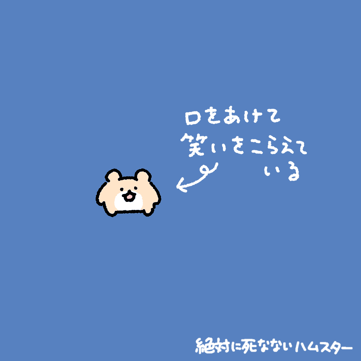 ZETSUHAMU's tweet photo. 絶対に笑わないハムスター https://t.co/s1mndZBHfn