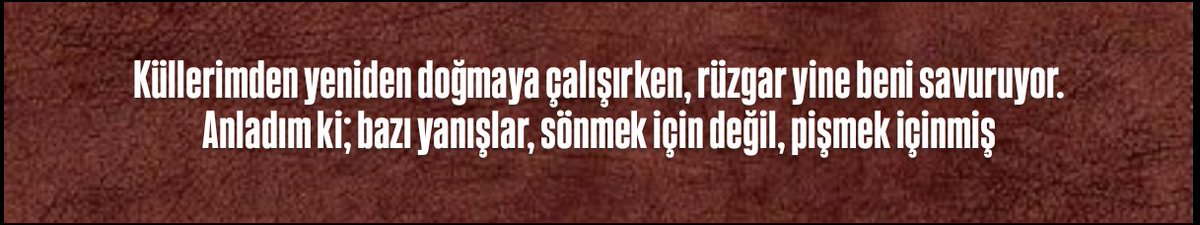 Said Erdoğan tweet media
