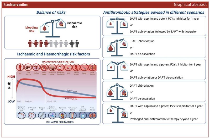 EuroInterventio's tweet photo. How should DAPT be tailored after ACS? 
This Clinical Consensus Statement synthesises the available evidence and offers a practical framework for selecting antithrombotic strategies based on bleeding and ischaemic risk after PCI. 

https://t.co/EmxXmWACT2 

@GianlucaCampo78
@TogeislerMD
@BruGig
@DrErikGrove
@sighalvo
@ElianoNavarese
@vlgmrc
@CVandenbriele
@ingo_ahrens