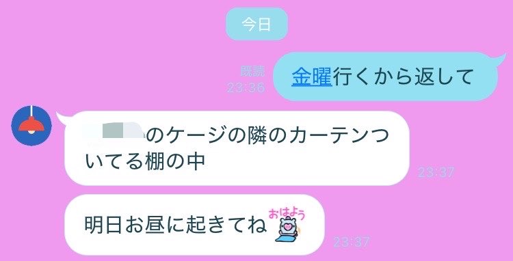 lemoncandy_2's tweet photo. 終わった https://t.co/TcnDAuRpSQ
