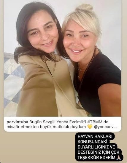 NiluferSabuncu's tweet photo. @ocalnet https://t.co/4QZkfrhH4w