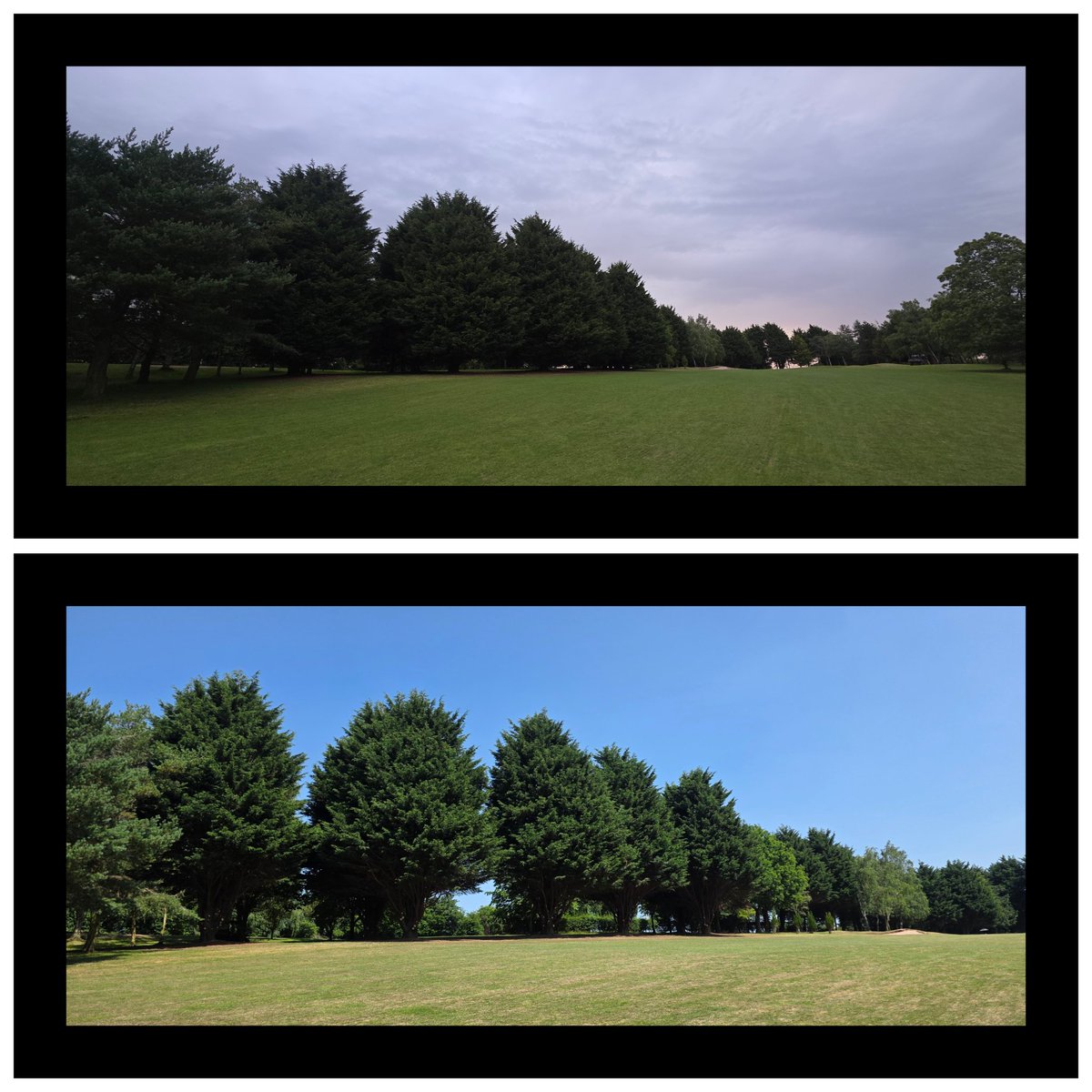 BromsgroveGK's tweet photo. The team have been keeping out of the extreme heat and have been thinning & raising up the conifers on the left of the 5th hole. This has been done to improve visuals across to the 6th tee box 👀 ⛳️
#greenkeeping #treeworks https://t.co/49P6j6FN0h