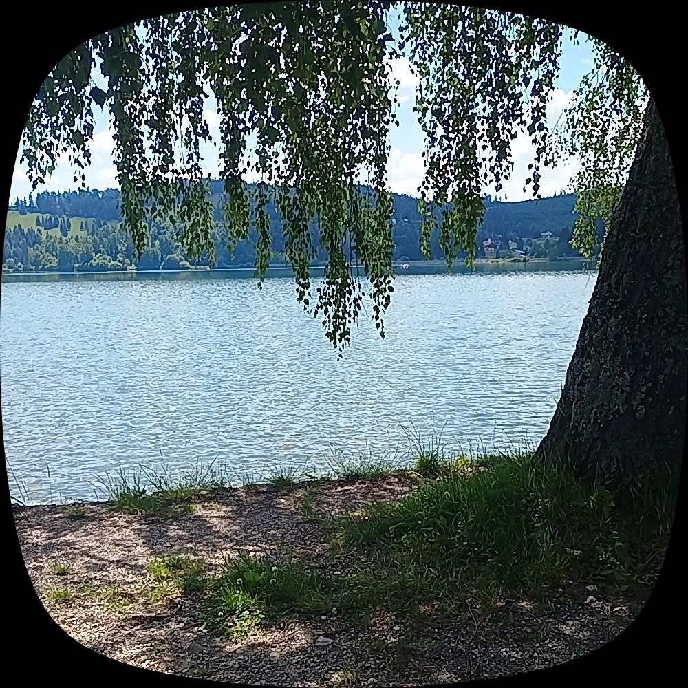 bndkoN's tweet photo. @Yapman1 Ok https://t.co/xulsDaQCBj