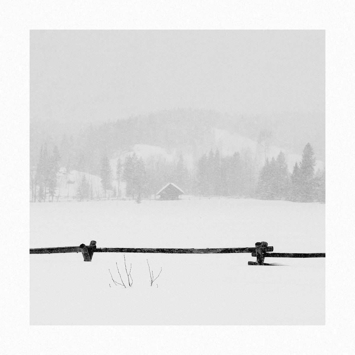 aowsrfkj's tweet photo. every person i didn't take taught me more about solitude than every one i did
cc @tonyauftour https://t.co/k6310lbD9G