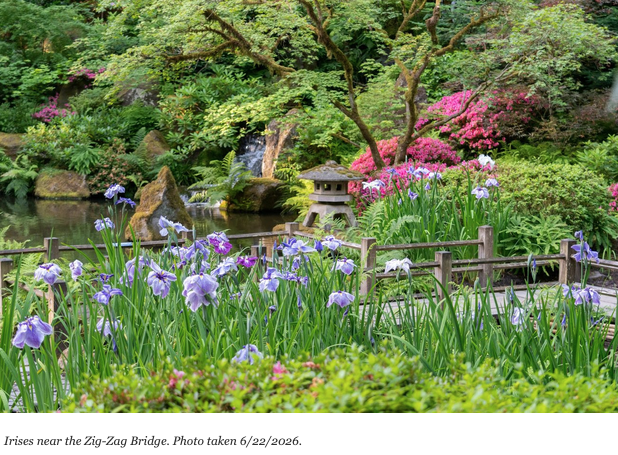 Gemma_Torres's tweet photo. Jardín Japonés de Portland https://t.co/yoe6IDberO