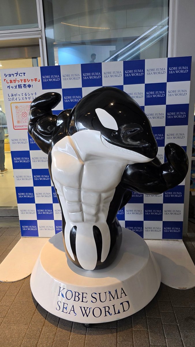 DiKey_DX's tweet photo. ニートなのでシャチ見てきた
しあがってた https://t.co/iEagUxglDz