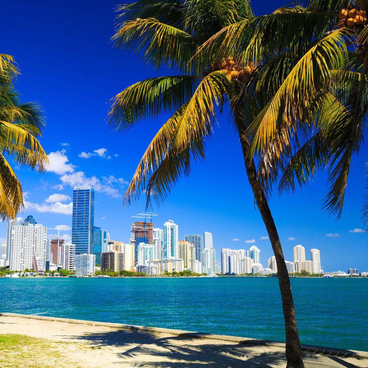 AAA_WCNY's tweet photo. What happens when Bills Mafia trades snow for sunshine? 👀❄️➡️☀️
This AAA-led group getaway to Miami has it all—travel, tailgates, and touchdown vibes 👉 https://t.co/EOLYk39ONy https://t.co/j1ZxzpmnQn