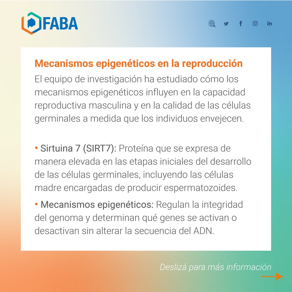 FedBioquimicaBA's tweet photo. Un estudio publicado en Nature Communications identificó que la proteína SIRT7 es clave para preservar la calidad de las células germinales masculinas durante el envejecimiento. El hallazgo abre nuevas perspectivas para el estudio de la infertilidad masculina.

#SaludReproductiva https://t.co/BaERnnOPWp