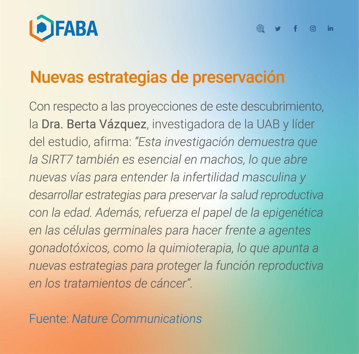 FedBioquimicaBA's tweet photo. Un estudio publicado en Nature Communications identificó que la proteína SIRT7 es clave para preservar la calidad de las células germinales masculinas durante el envejecimiento. El hallazgo abre nuevas perspectivas para el estudio de la infertilidad masculina.

#SaludReproductiva https://t.co/BaERnnOPWp