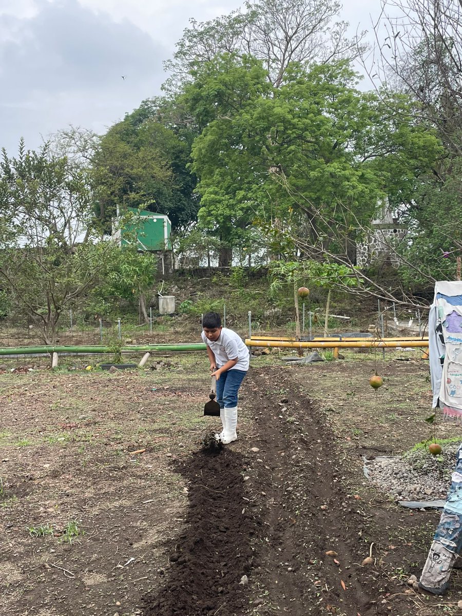 Ecomentesac's tweet photo. Después de mejorar el suelo y de las primeras lluvias sigue la formación de los surcos para la siembra, así entienden los geniecitos que va el ciclo de los cultivos. Aprendiendo con la acción los pequeños Ecomentes están construyendo un mundo mejor https://t.co/kXBJ26PLq7