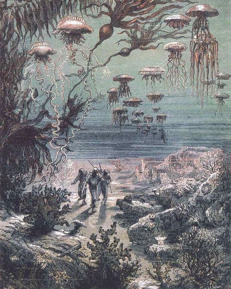 dreamerbook's tweet photo. "Underwater Landscapes of Crespo Island" (Paysages sous-marins de l'île Crespo), from Jules Verne's Twenty Thousand Leagues Under the Sea (1869).

Illustrated by Alphonse de Neuville in collaboration with Édouard Riou, and engraved by Henri Théophile Hildibrand around 1870. https://t.co/1sFa86gEse