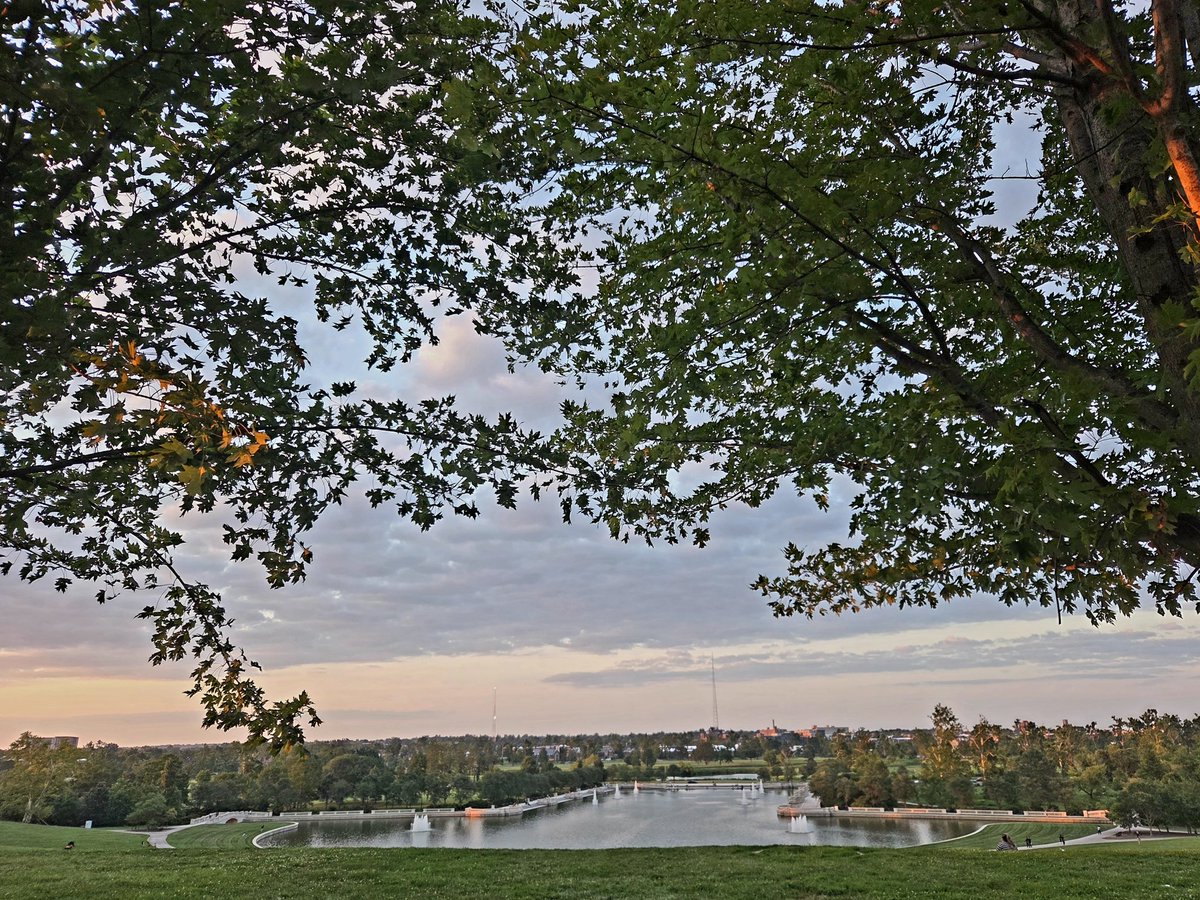 ImNotSam1's tweet photo. 150 years 💚🌷 #ForestPark4ever https://t.co/WMdAFsSwmc