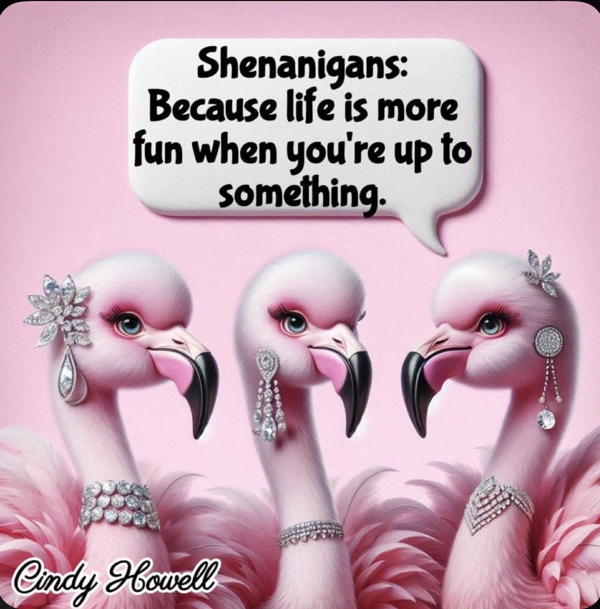 MsC_independent's tweet photo. @AnyHooty 😂Yes ma’am 💖🌸🦩 https://t.co/7zmc03Muvz