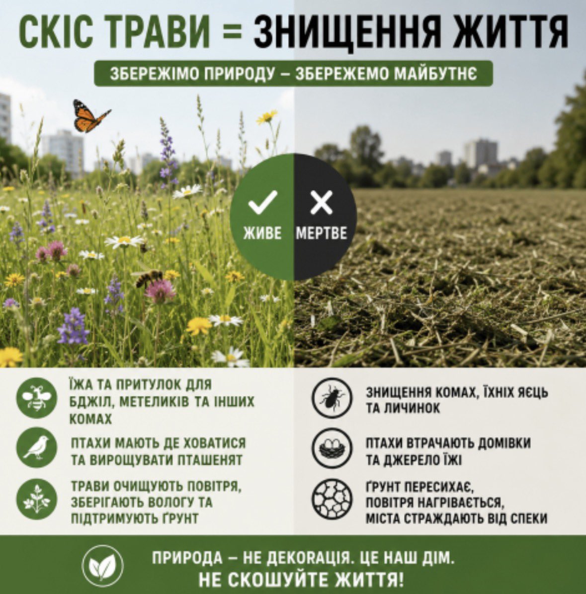 Anna_Devinora's tweet photo. 🌿 В кого є Київ Цифровий - підпишіть, будь ласочка, петицію проти дурного скошування трави: https://t.co/t4htANR81R

Там лише на кномпочку тицьнути. https://t.co/2FyKVt8kTe
