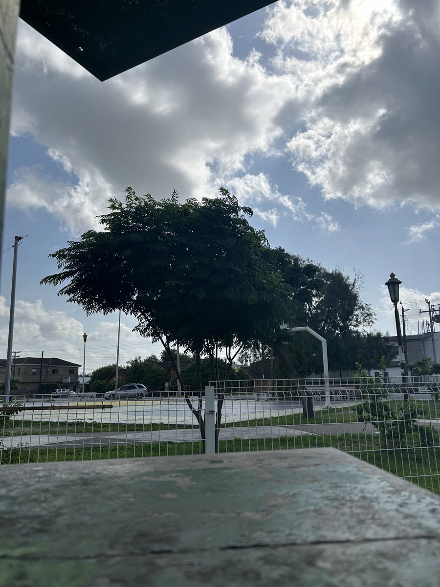 Biker_rb's tweet photo. 😼👌
#riobravo #plaza https://t.co/DfBktuszYc