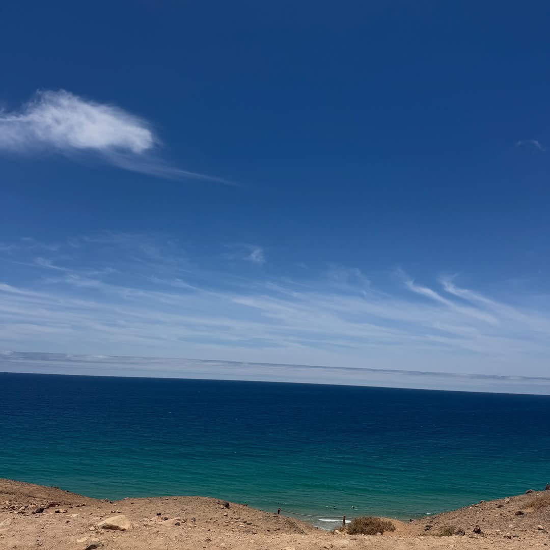 iosonomartix's tweet photo. Nuovo post di Scarlett su ig “summer hues and regulated nervous system” 🌊🩵

📸: @ScarlettPlott 

🔗: https://t.co/xzmAfmJ7ng

#zeudiners #zarlet https://t.co/CT3wpDJOVl