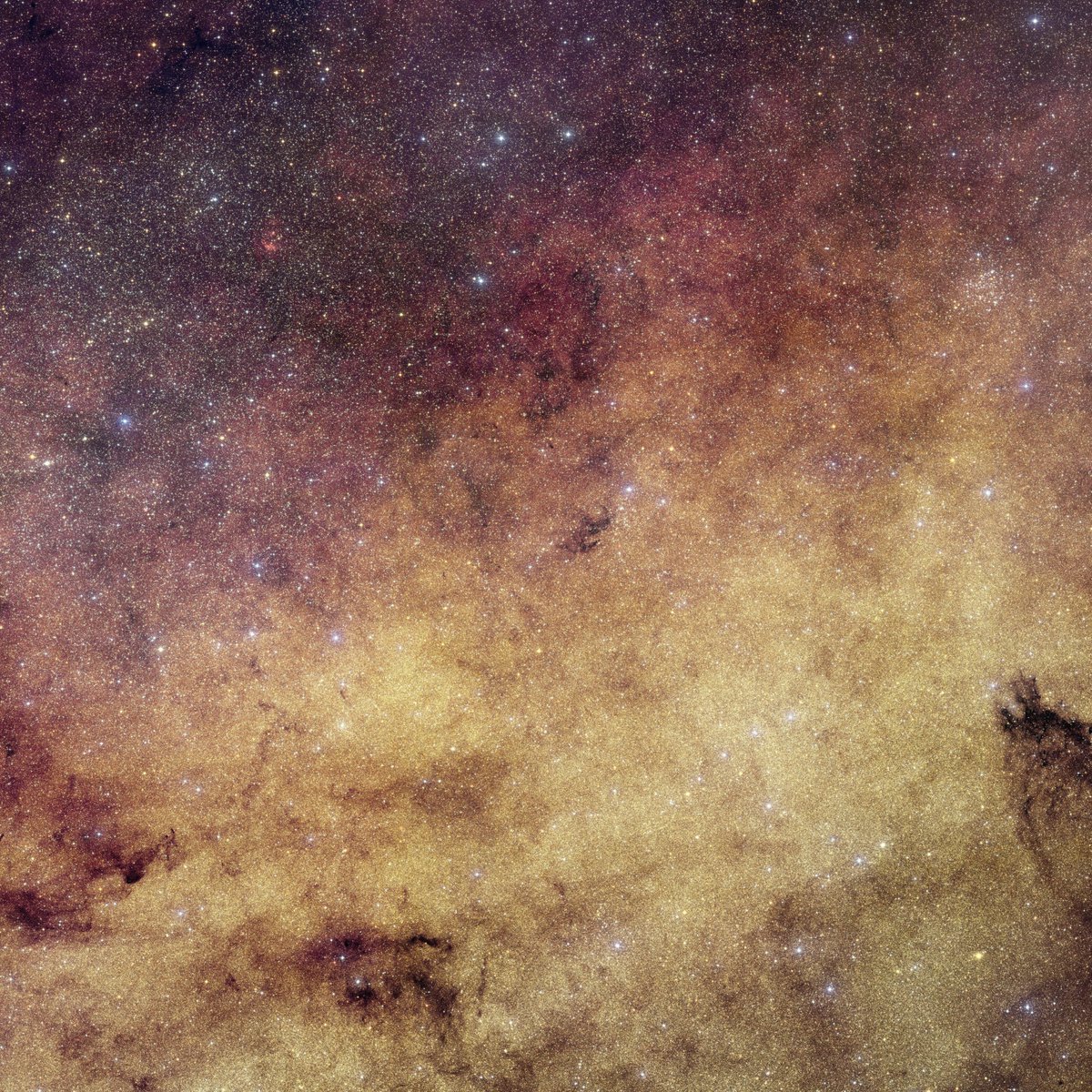 konstructivizm's tweet photo. 60+ million stars in one image
This isn’t a simulation.

What you’re looking at is the most detailed visible-light image ever captured of the center of the Milky Way.

Containing more than 60 million stars, this extraordinary view from ESA’s Euclid mission could help scientists confirm exoplanets hidden in one of the most crowded regions of our galaxy