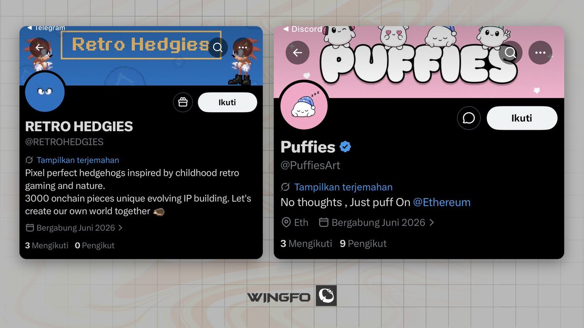 WINGFO tweet media